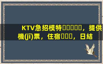 KTV急招模特，提供機(jī)票，住宿，日結(jié)